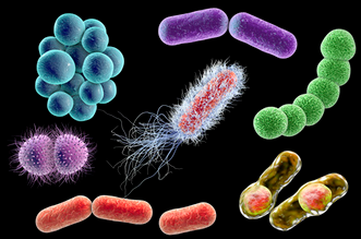 检测细菌微生物的仪器都有哪些？