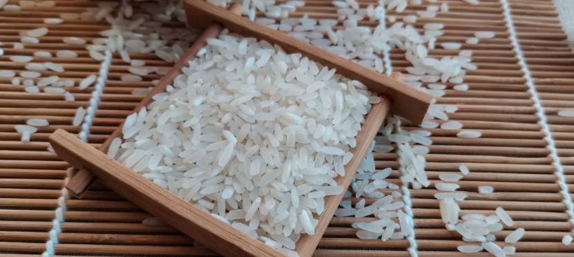 小麦粮食真菌毒素重金属检测仪快速发现粮食潜在风险